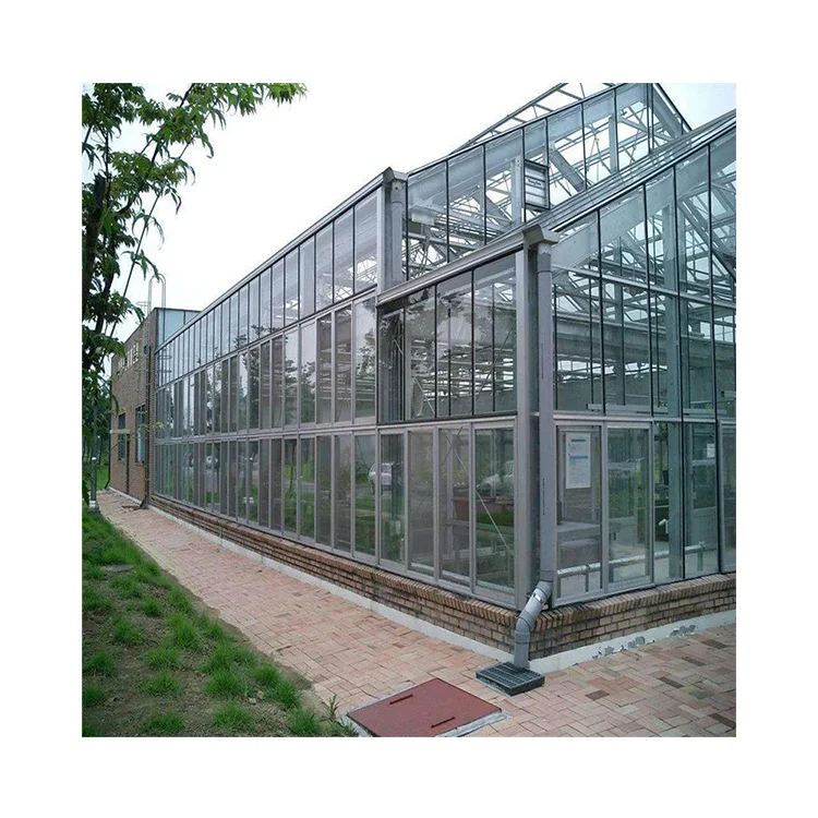 Agriculture High Quality Advanced Multi-Span Glass Greenhouse