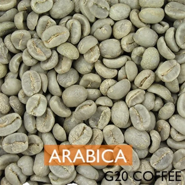 
ARABICA GREEN COFFEE BEAN - +84939030266 