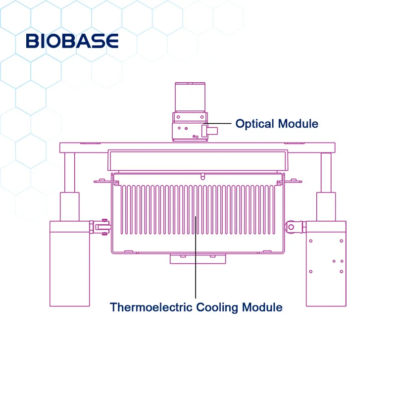 BIOBASE China Fluorescent Quantitative PCR Detection System with pcr test kit rapid Price