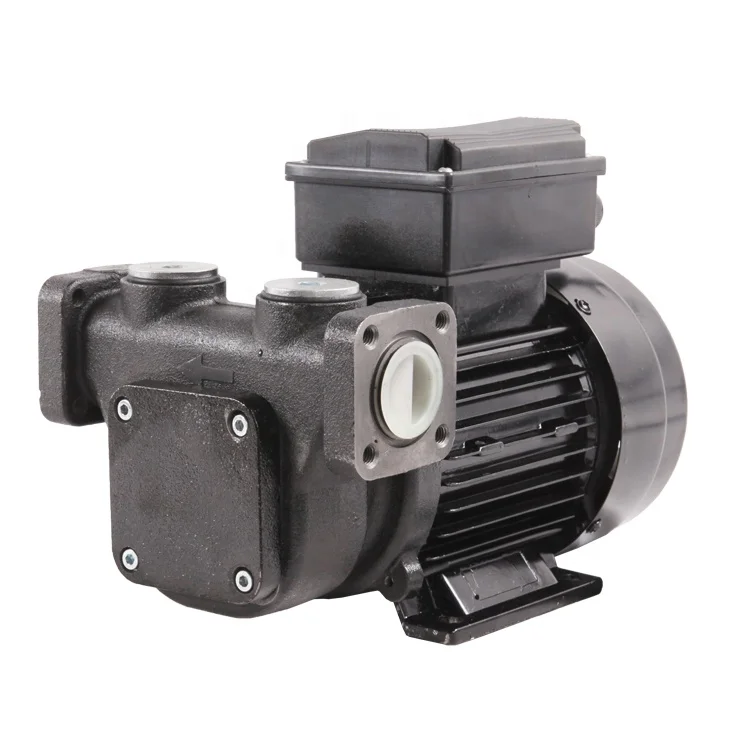 Самовсасывающий электрический дизельный топливный насос Trupow 110 В/220 В л/мин, керосиновое биодизельное топливо