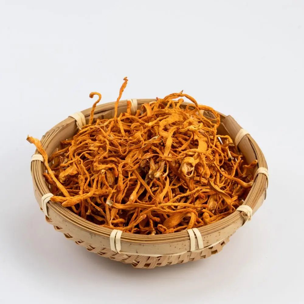 Best Price High-quality Organic Dried golden cordyceps mushroom Flower Dried Cordyceps wholesale price