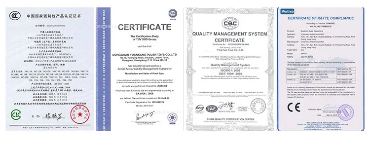 Certification.jpg