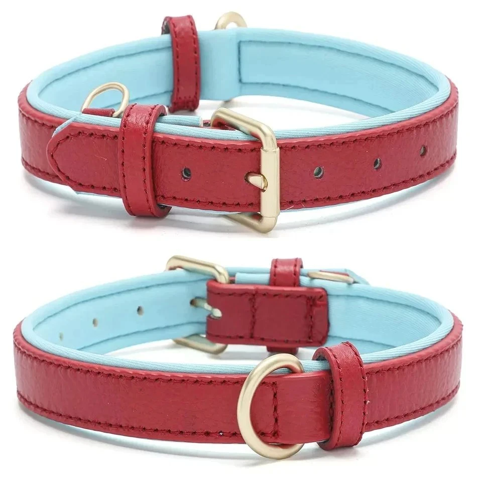 Premium Genuine Leather Strong Durable Padded Adjustable Buckle Leash Attached D Ring Dog Collar Outdoor Gear
