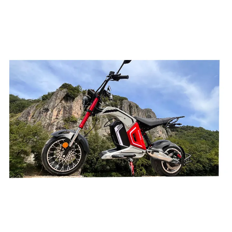 2024 Best Selling 3000-4000w Electric Motorcycle Scooter 12 Inch Fat Tire Electric Motorcycle Customizable E-motor With CE EEC
