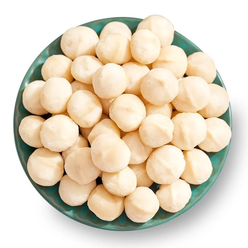 High quality Macadamia Kernels Dried Macadamia Nuts