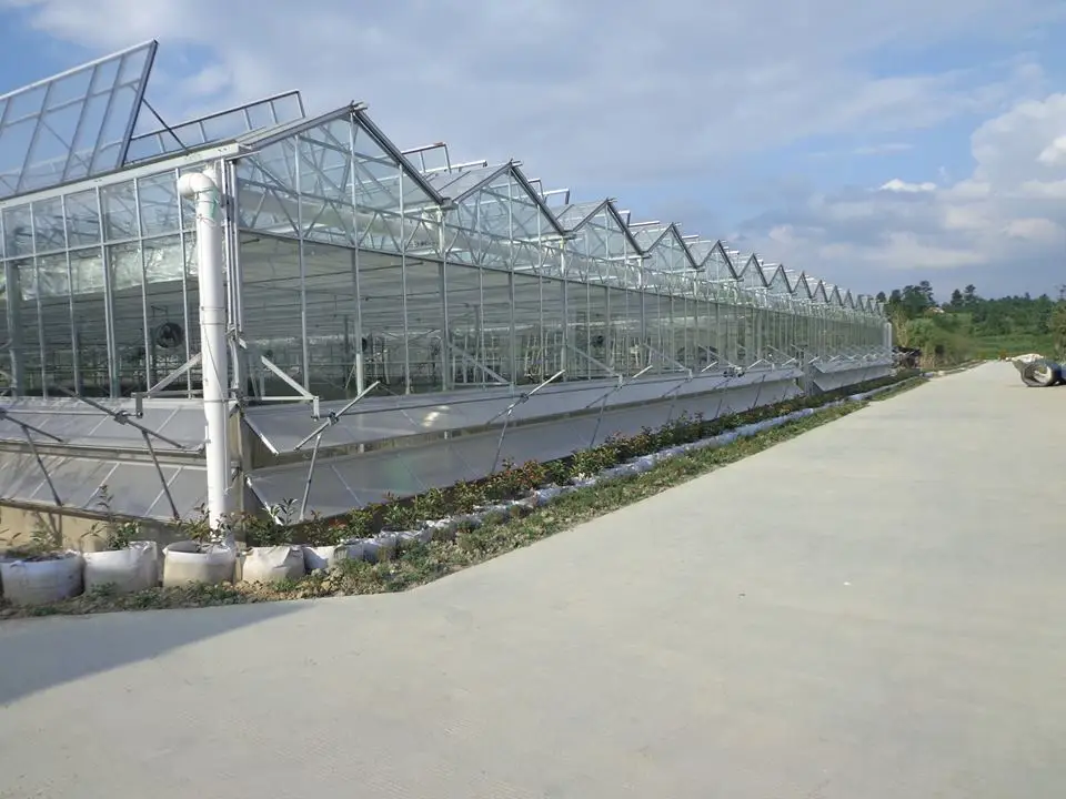 
high end flower rose/tulip growing greenhouse with exact climate control 