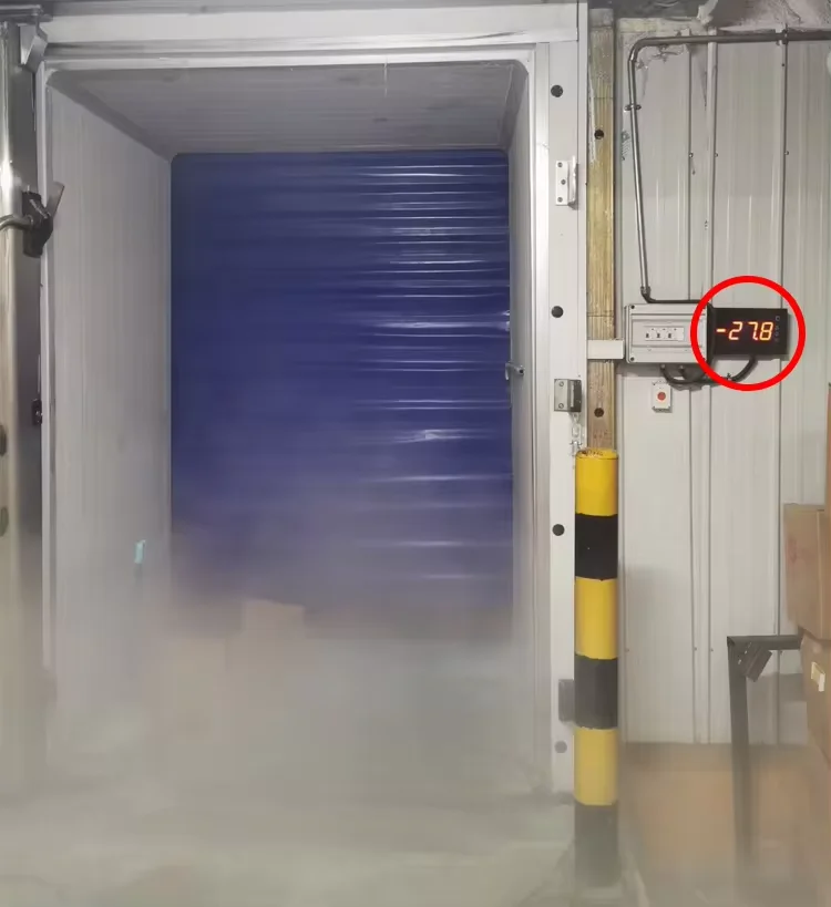 Factory Price Seafood Vegetables Insulation Rapid Door High Speed Low Temperature Cold Storage Frozen Door