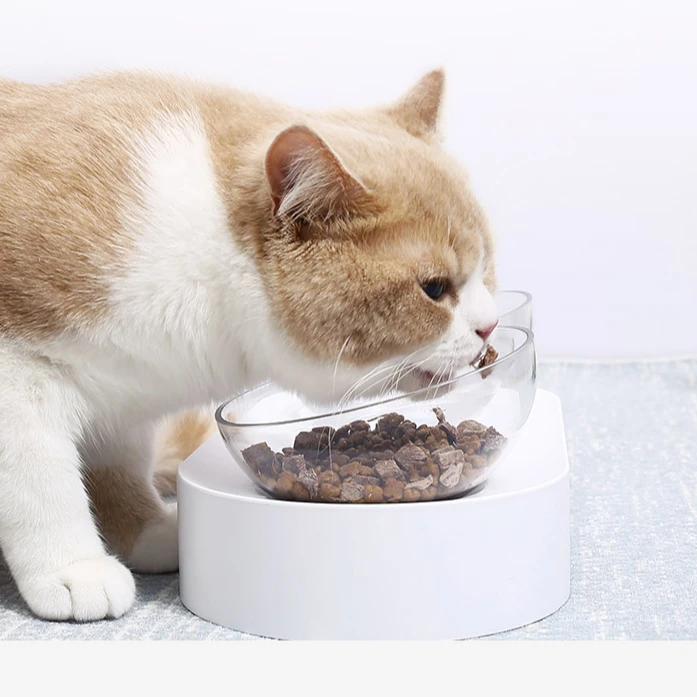 2021 модный дозатор питьевой воды для домашних животных, кошек, собак, двойная миска, кормушка, питьевая вода, автоматическая кормушка для домашних животных