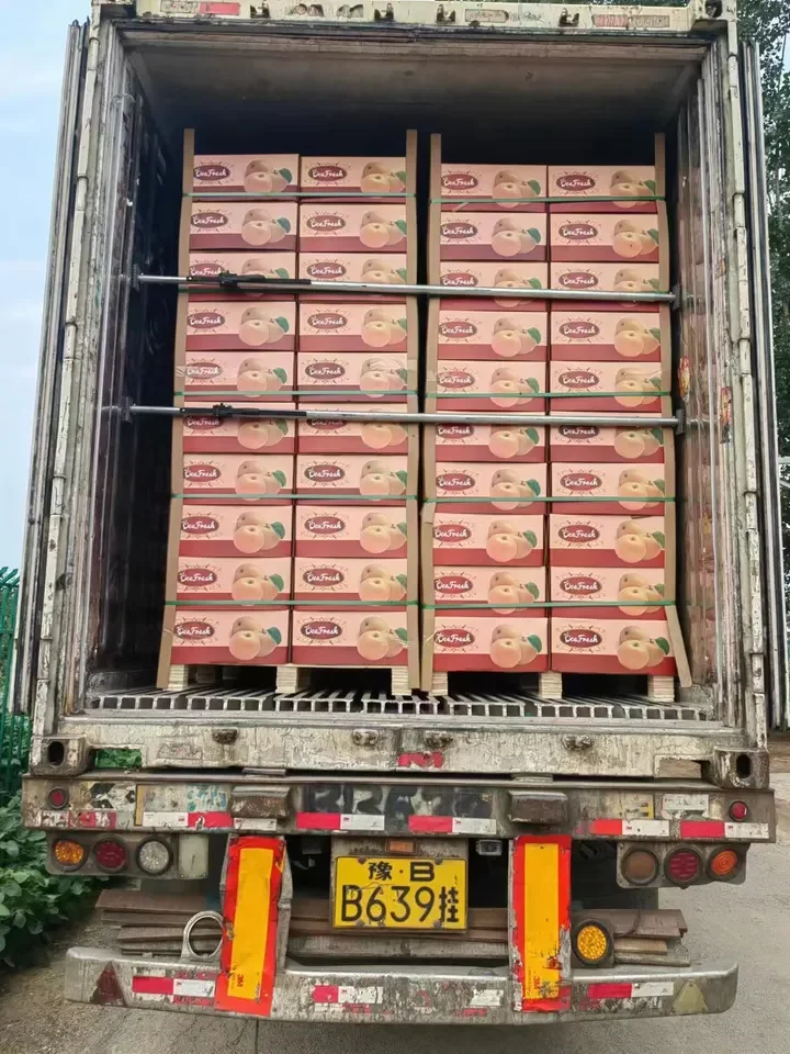 New Season Fresh Fruit Fengshui Pear Golden Pear With Good Taste