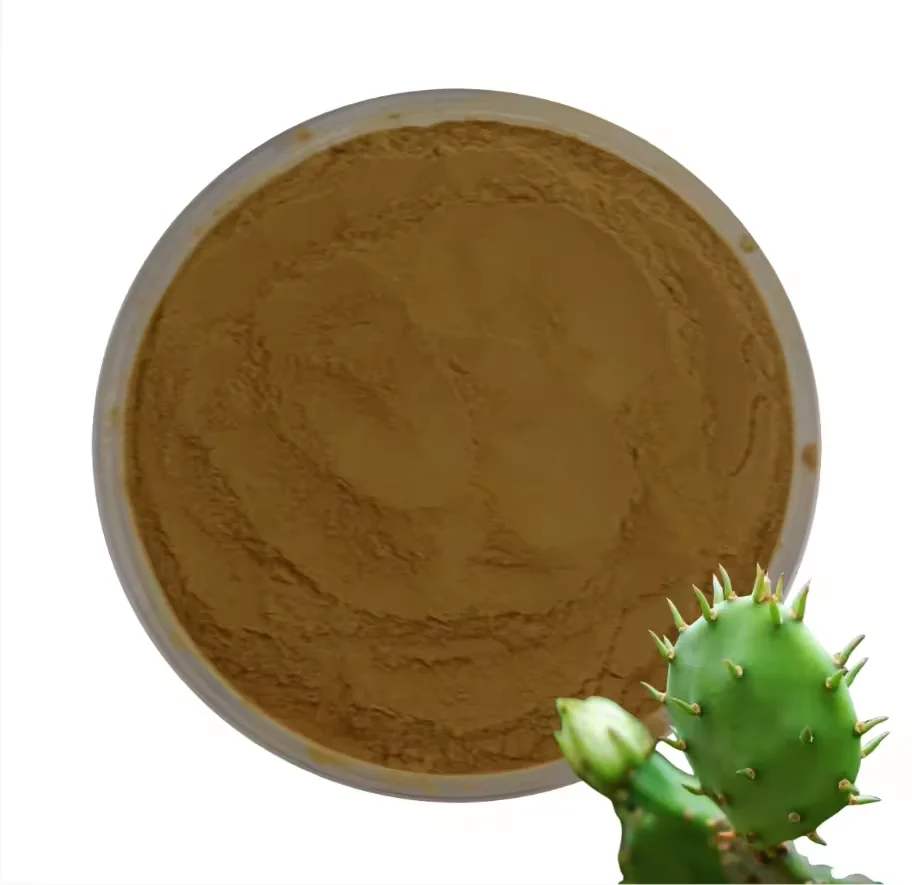 High purity cactus seed food grade fruit juice Organic bulk Cactus Extract powder