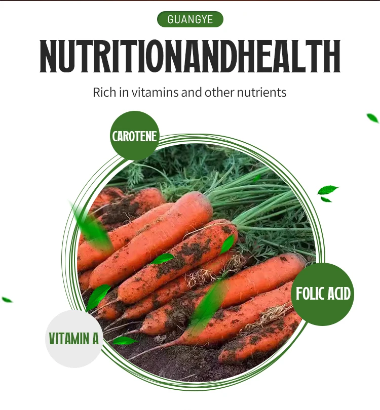 superior quality GuangYe frozen vegetables No additions IQF fresh Good quality organic Frozen Carrot slices