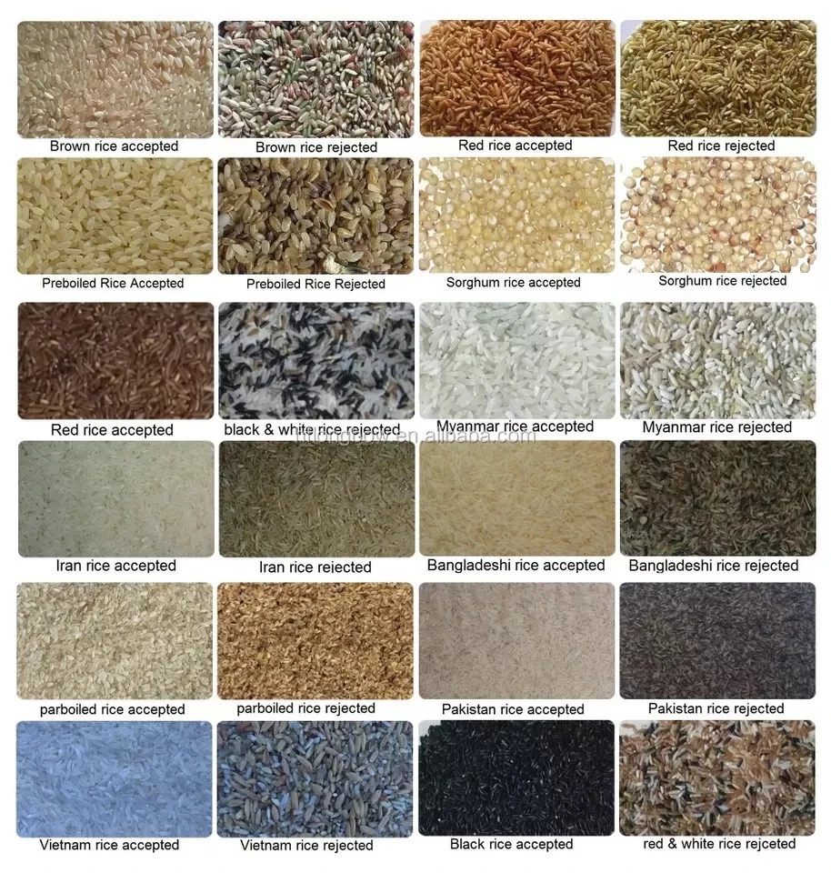 Factory Custom Lentil Chickpea Colour Sorter Plastic Red Grain Color Sorter Almond Color Sorting Machine