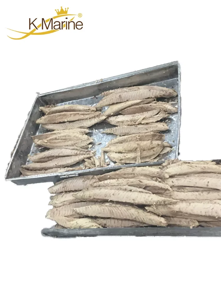 Export Fresh Frozen Bonito Skinless And Boneless Fish