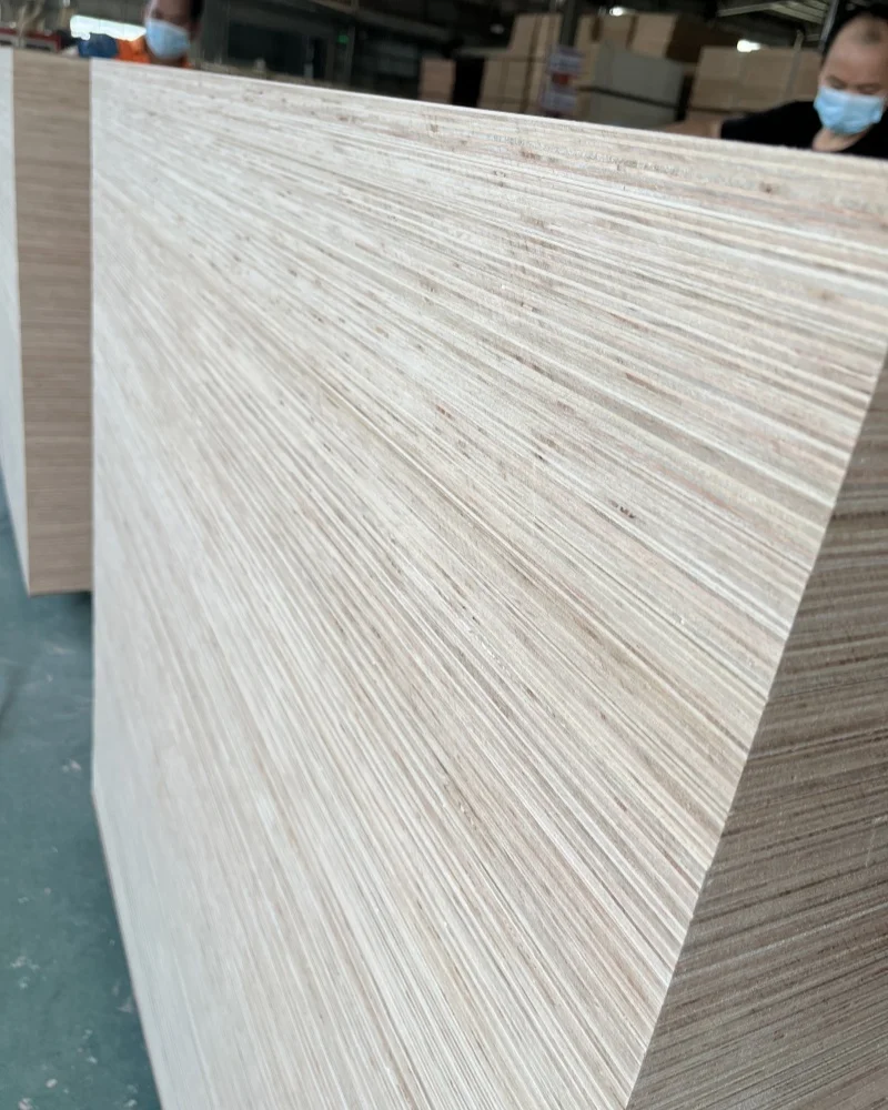 Vietnam Bitangor Commercial Plywood 18mm Melamine Veneer Board Poplar Birch Good Quality Modern Design E0 1-Year Hotels