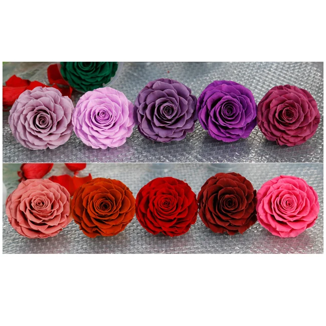 various specifications high quality preserved rose head big roses artificial flowers preservation Preserved roses xl