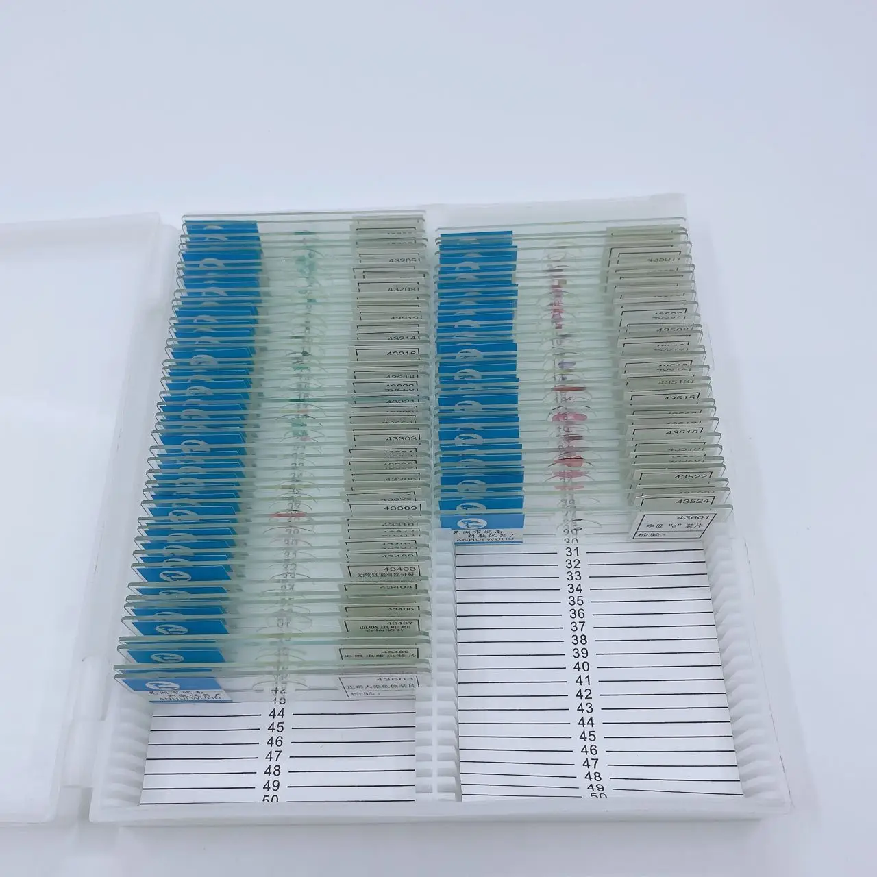 70 Slices Of Biological Tissue Slides Wooden Case Packing For Basic Biological Science Education Microscope Biological