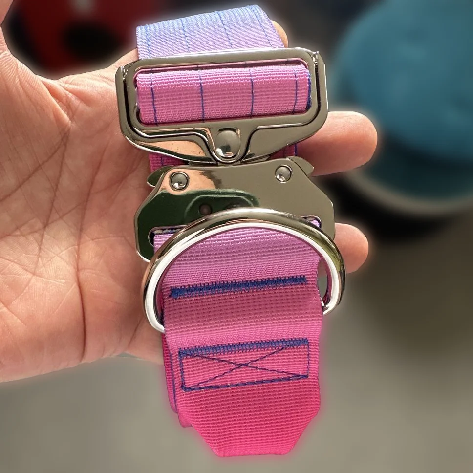 2 inch 4cm 5cm nylon no pull pet collar leash harness adjustable soft padded heavy duty combat tactical dog collar with handle