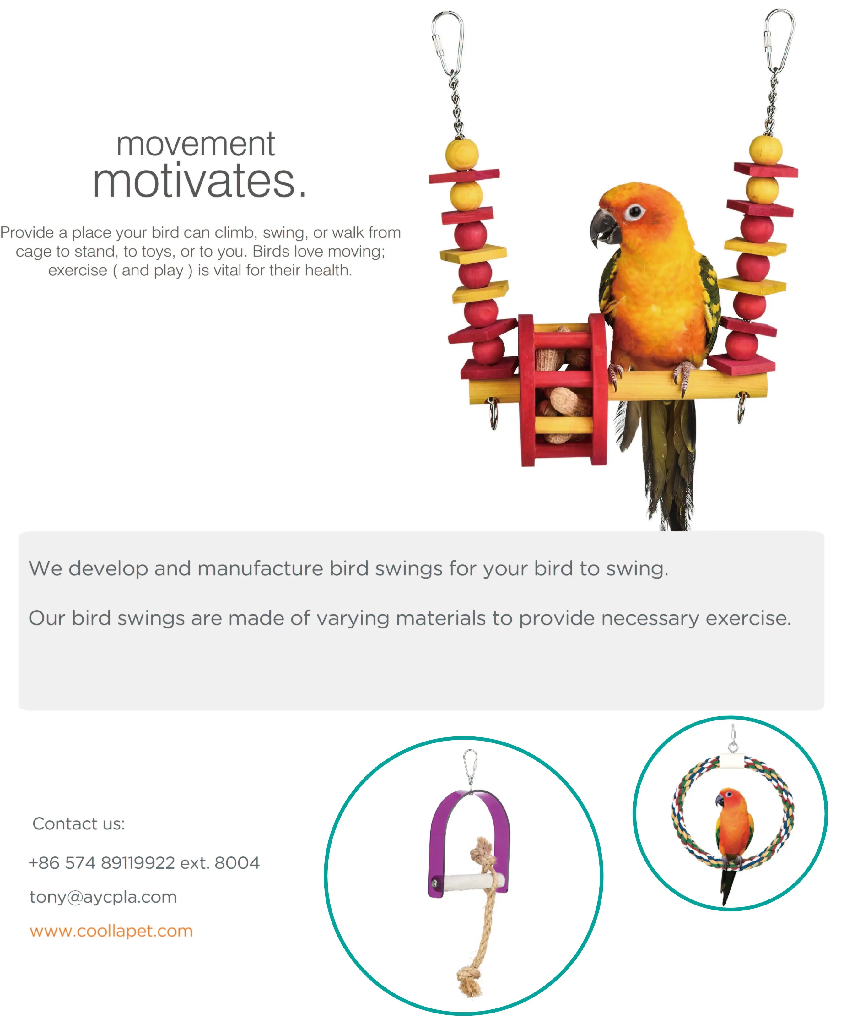 bird swing description.jpg