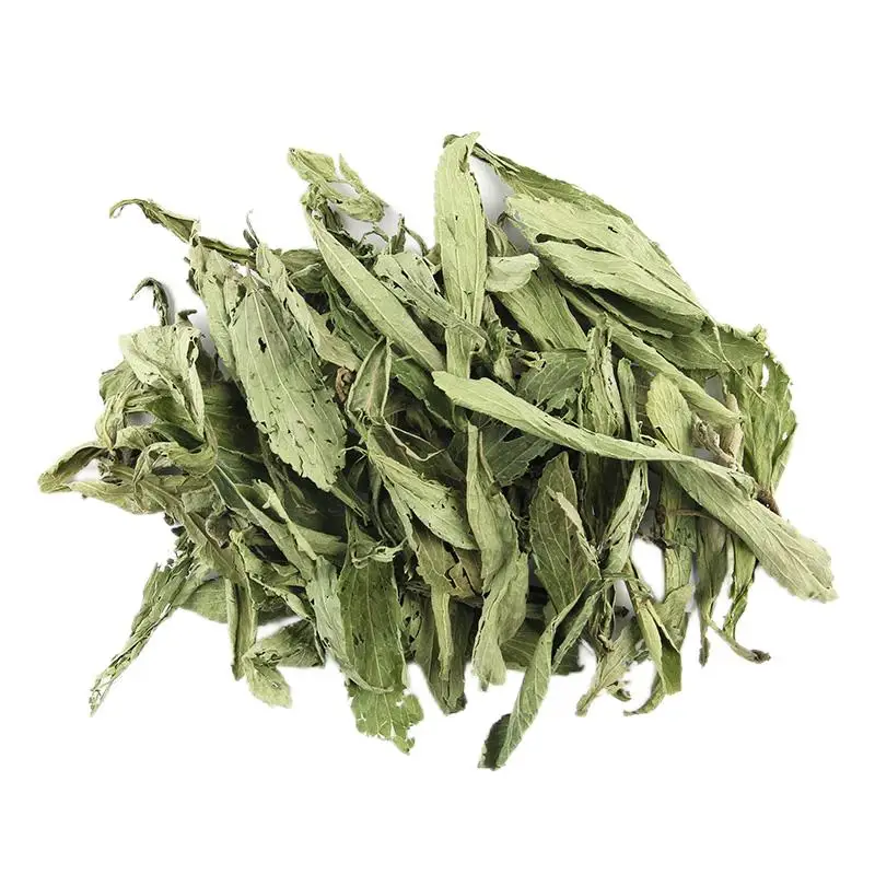 Bulk Wholesale Natural Dried Chinese Herb Stevia Leaf Tea Dried Stevia Leaves Rebaudiana for Tea Drinking Extract