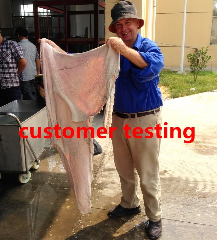 коровы желудка очистки машины