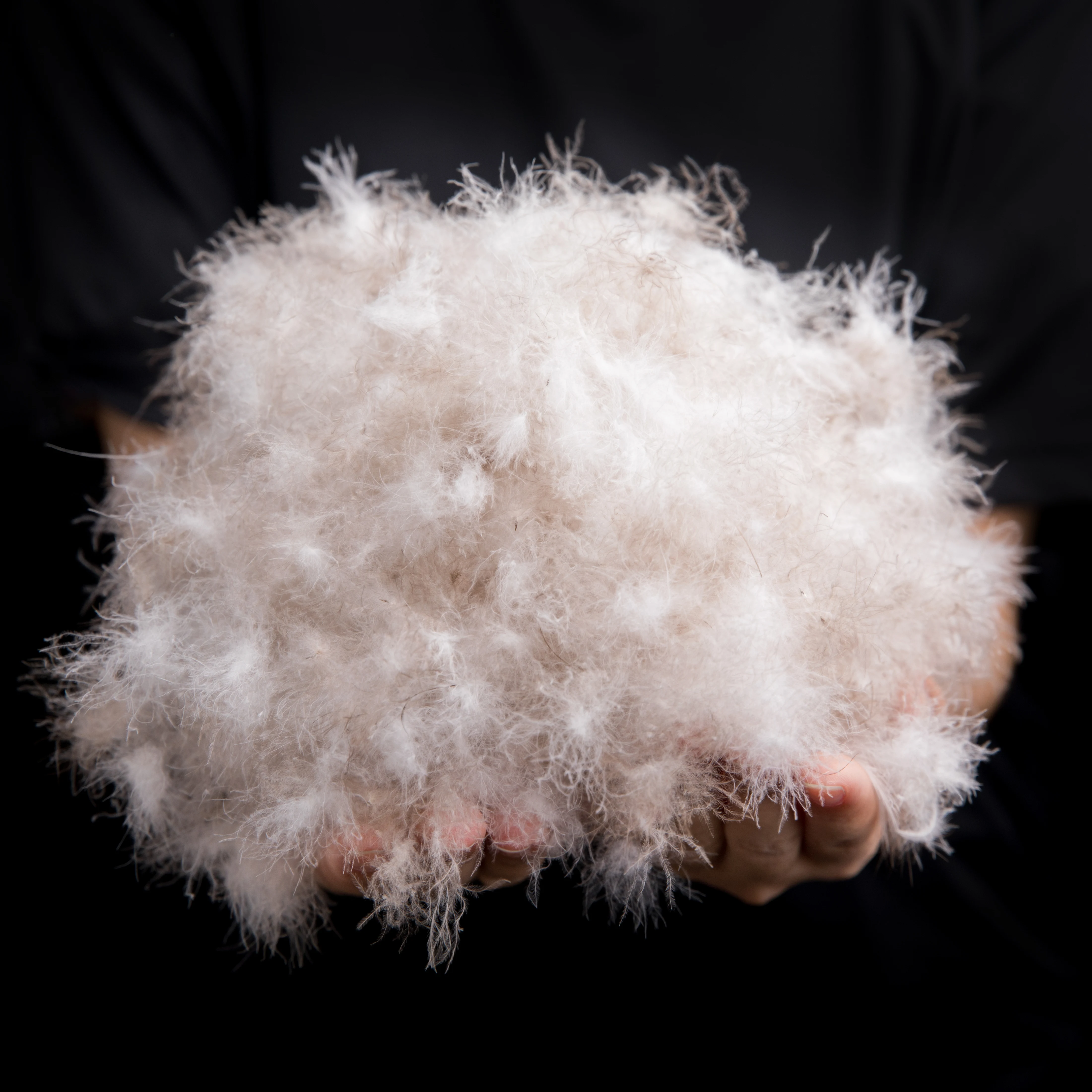 
Hot Sale 95% Washed Grey Muscovy Fabric Clothing Down Feather 