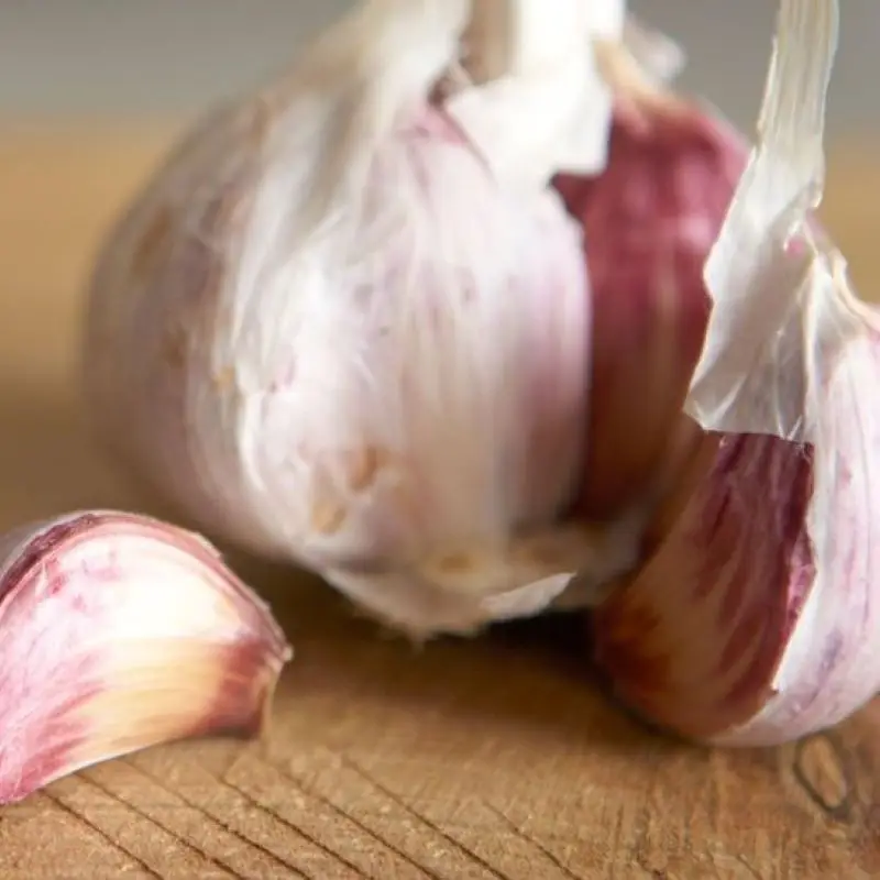 Best price new crop fresh garlic original supplier full dried goods garlic from garlic factory