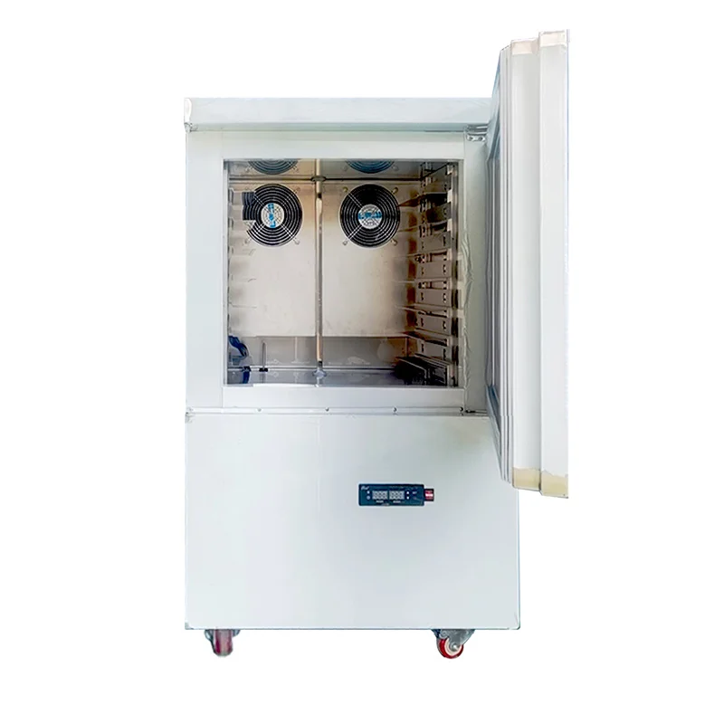 -80 Degree  Quick Freezing Blast   Freezer Equipment Freezer for food production in Manufacturing Plant or Restaurant