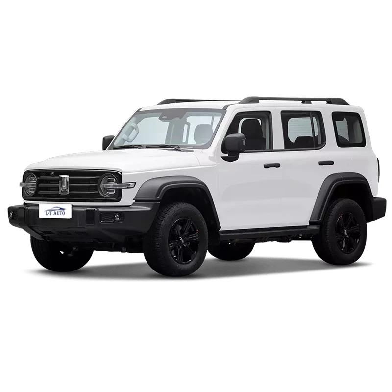Самый продаваемый китайский производитель 300 GMW 4x4 2 0 t внедорожника бензинового топлива поставщик автомобилей