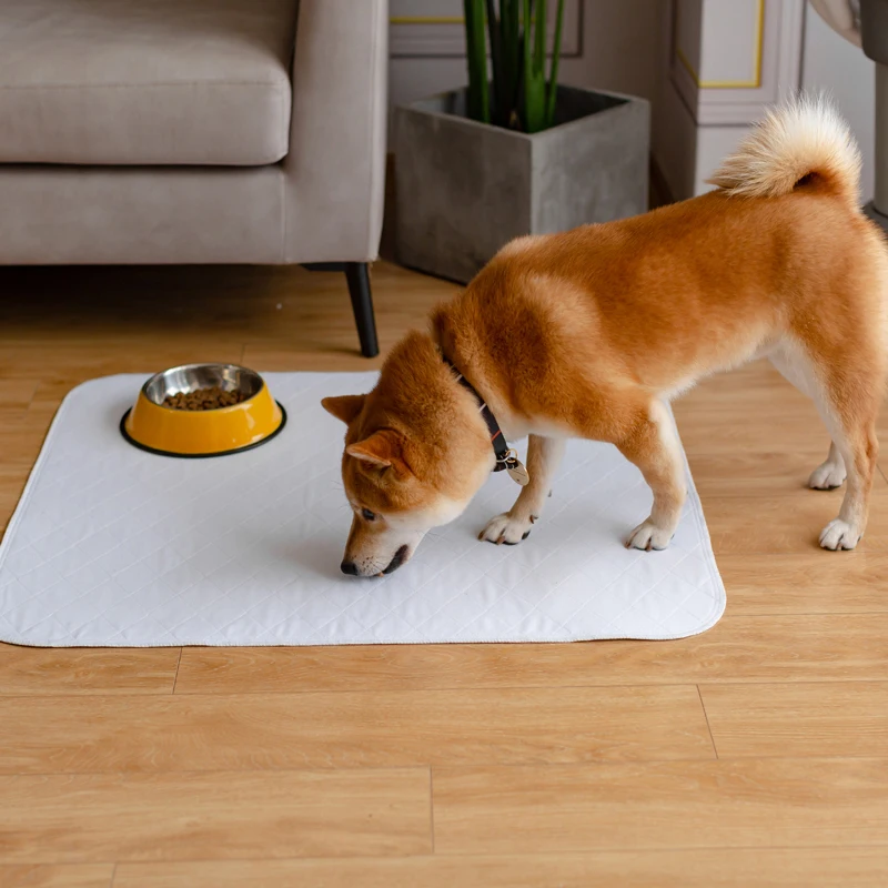 
 Лидер продаж на Amazon 2021, коврик для ослабления, водонепроницаемый коврик для обучения питомцев и щенков  