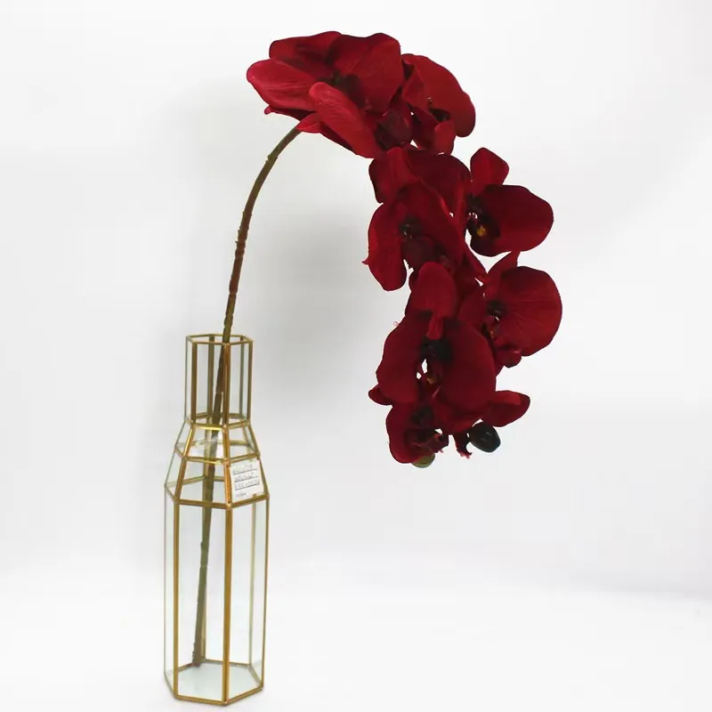Wholesale Real Touch Phalaenopsis Artificial Flowers Phalaenopsis 10 Head Silk Cloth Home Decoration Wedding Supplies