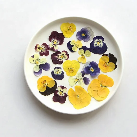 18pcs/pack Pansy/Violet/Viola Pressed Flower Mix Colors Bag For Wax Seal Epoxy Resin Jewelry Phone Case And DIY Craft