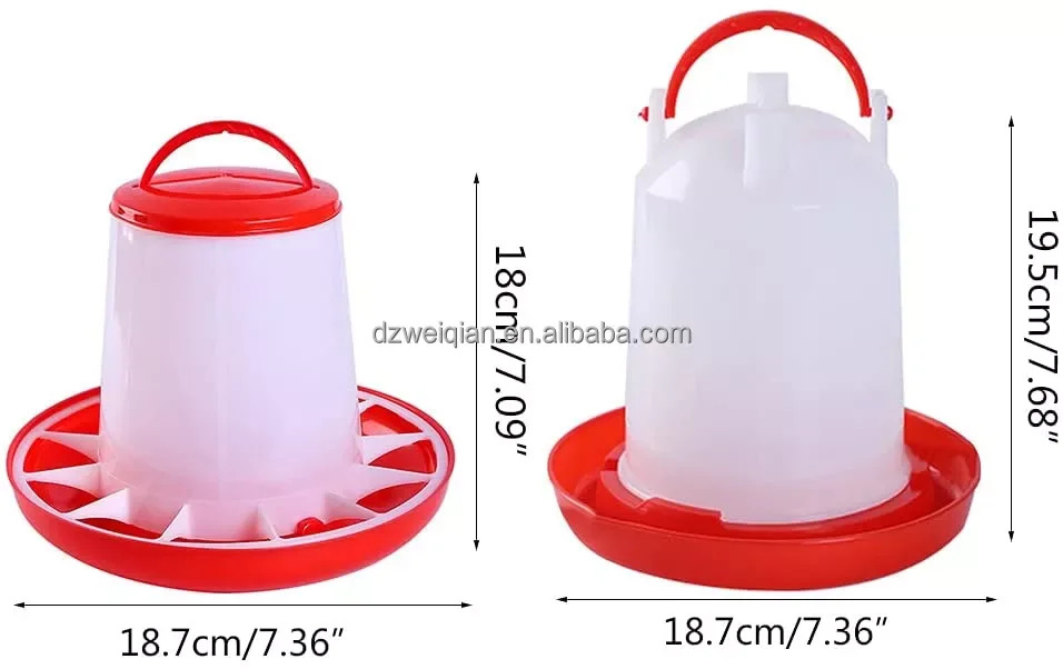 chicken feeders and drinkers