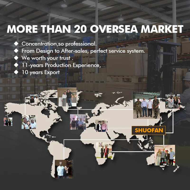 Factory Customize New Design Pink Princess Bed Solid Wood Kid Bedroom Furniture Set Kids Castle Bed