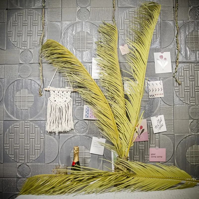 Extra Tall Over 3ft Decorative Flowers Cycas Revoluta Preserved Natural Dried Sago Palm Leaves for Floral Arrangements