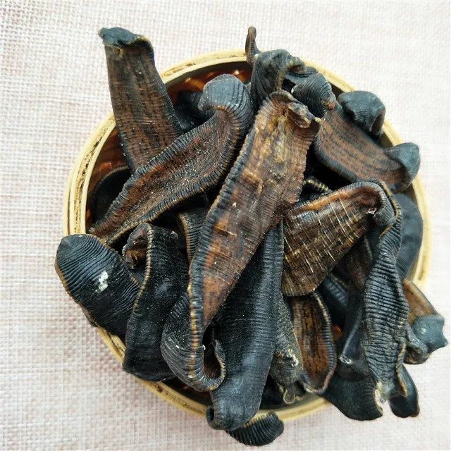 
Shui zhi Best Brand High Quality Dried dry leech 