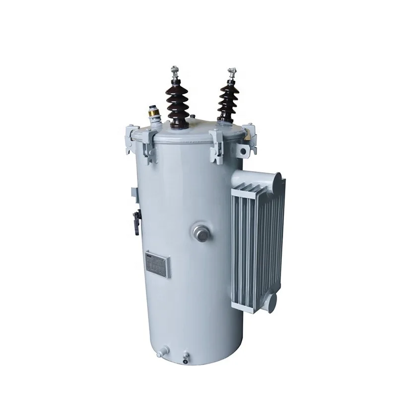 D13  6.3KV  11KV  Low price outdoor  Single Phase High Voltage distribution transformer  Power transformer