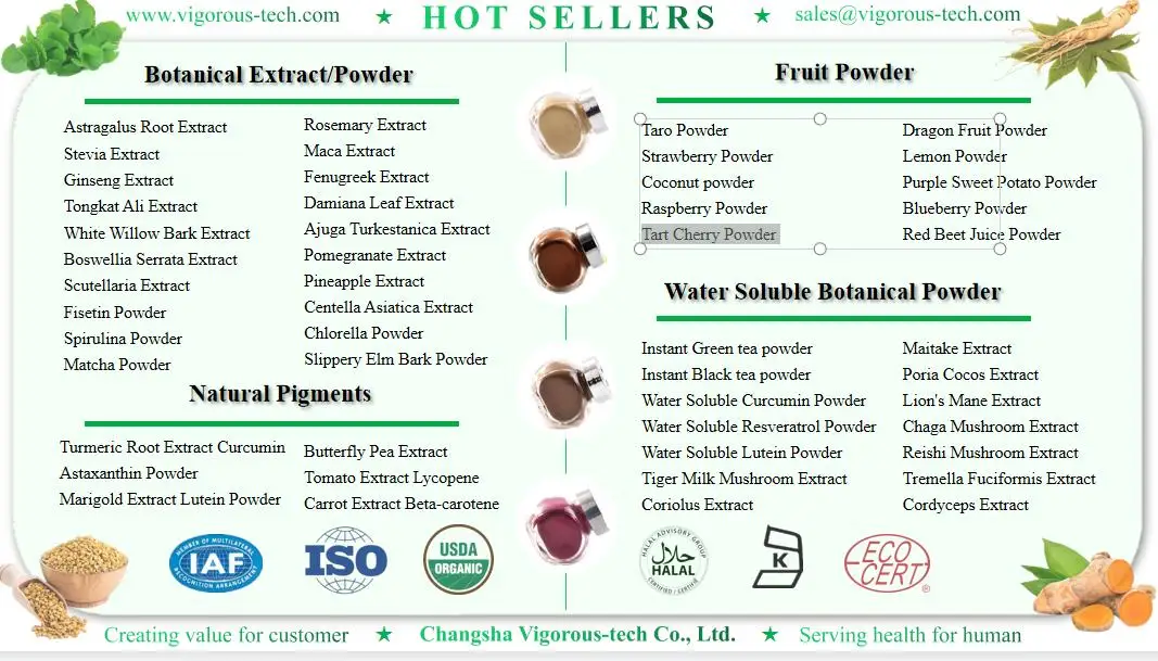 Natural High Quality Pomegranate powder Free sample Fruit Powder Pomegranate Fruit Powder Punica granatum