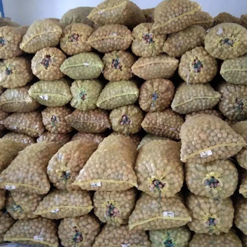 Walnut Best Price Common Walnut Nuts Top Class Walnut Kernels Dried Style Raw Waln Turkey Best Supplier Good Packaging Food