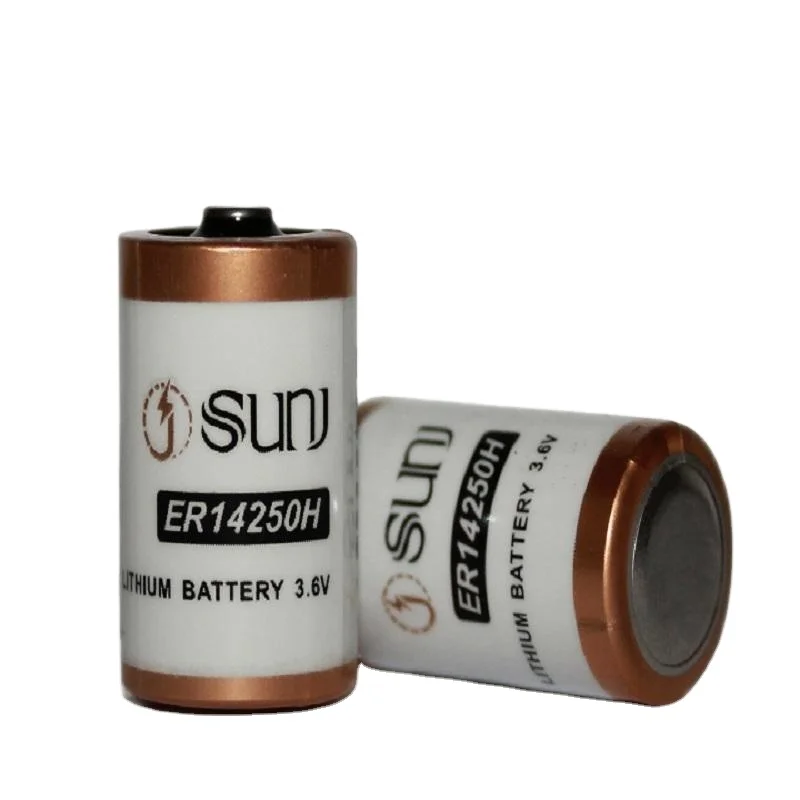 Large Capacity 4000mAh 3.6V D Size  Non-Rechargeable Lithium Battery Er14250H For IC Card Gas Meter