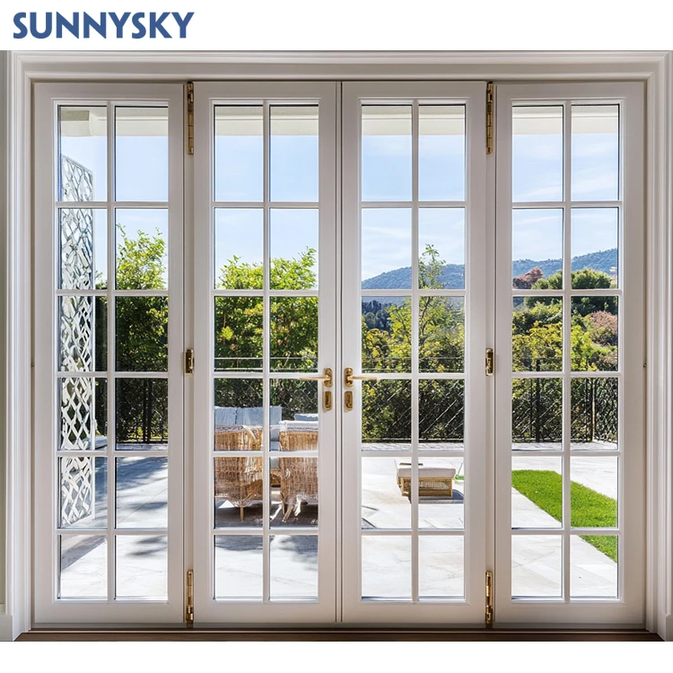 Sunnysky NFRC европейские стандартные железные двери внутренние стеклянные со стальным каркасом французские в типовом стиле