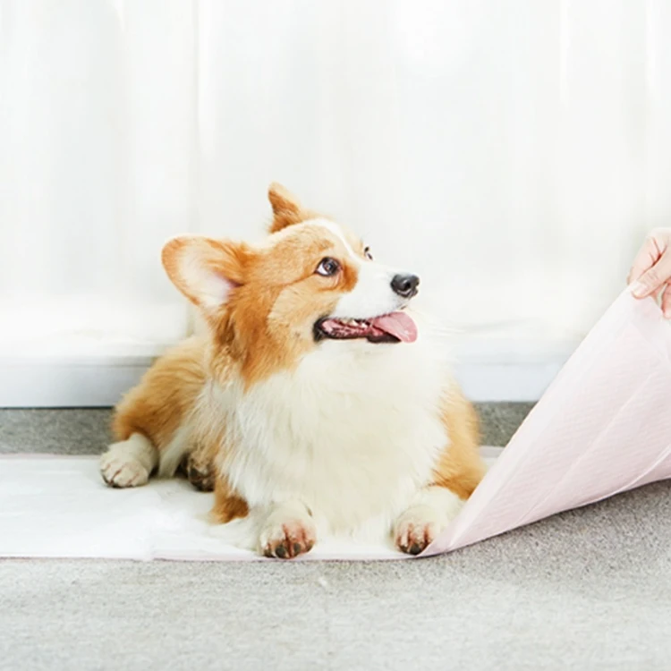 Wholesale custom hot selling products 2024 pee pad for dogs good absorption disposable pet training pad