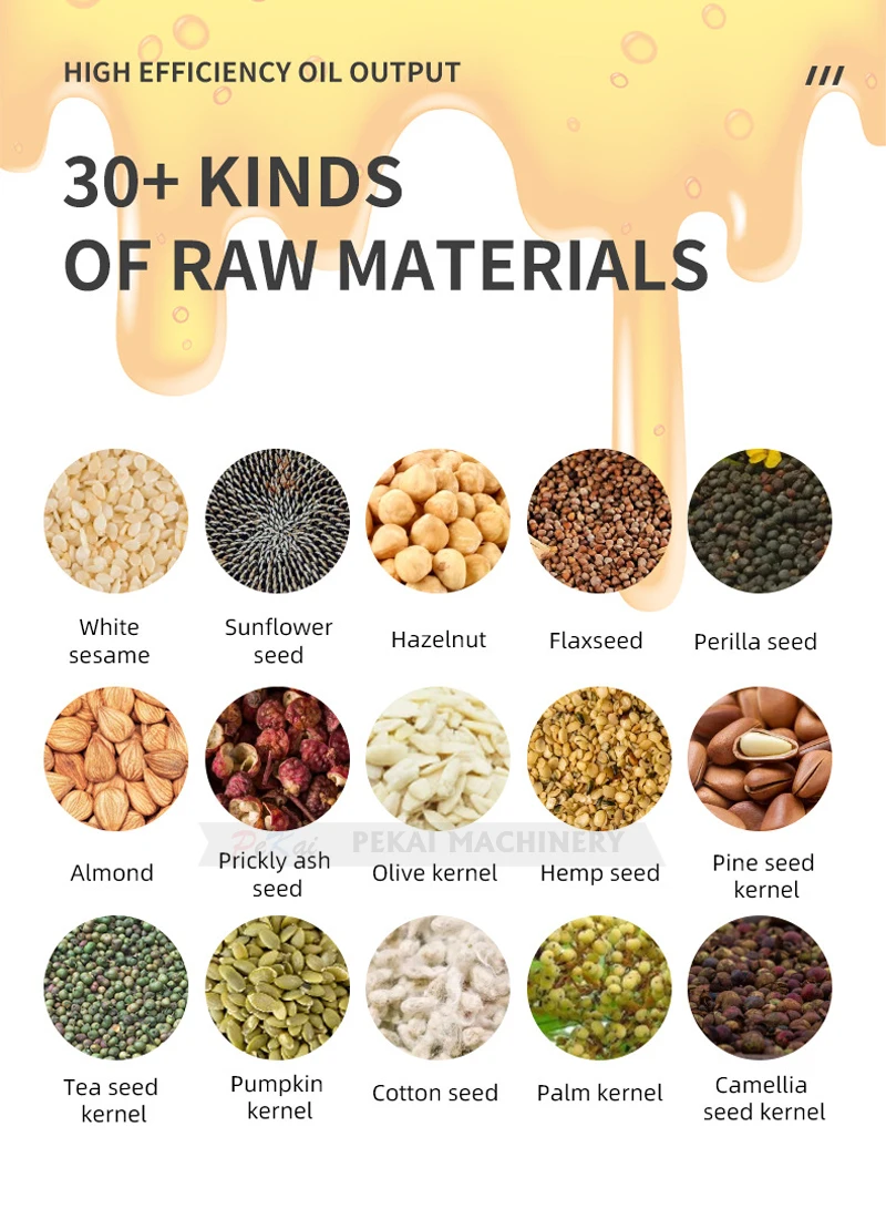 Commercial Mini Size Oil Press Machine Intelligent Sunflower Seed Olive Oil Extracting Presser