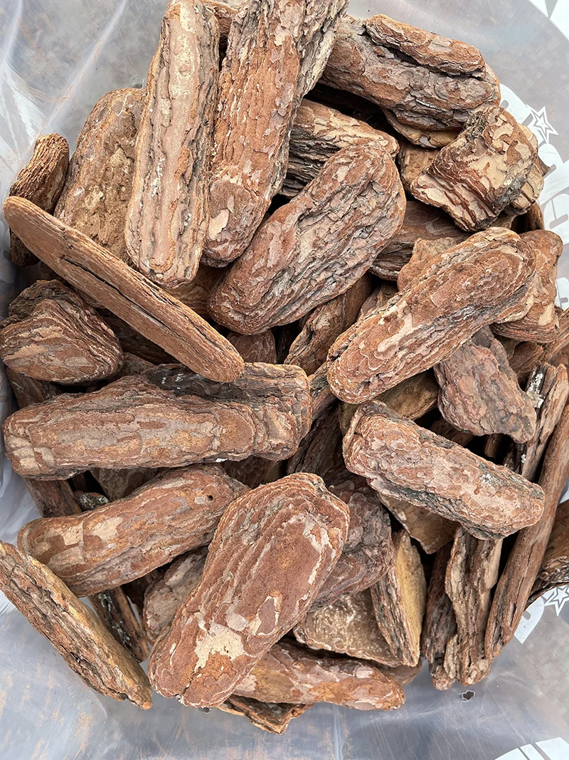 china Factory wholesale pine Bark chip Planted Trees Natural Pine Bark nugget Wood Supplement Mulch