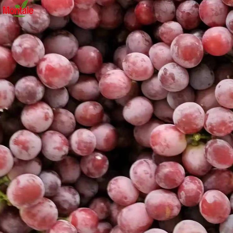 100% Natural Fresh Purple Grapes Super Sweet Grapes