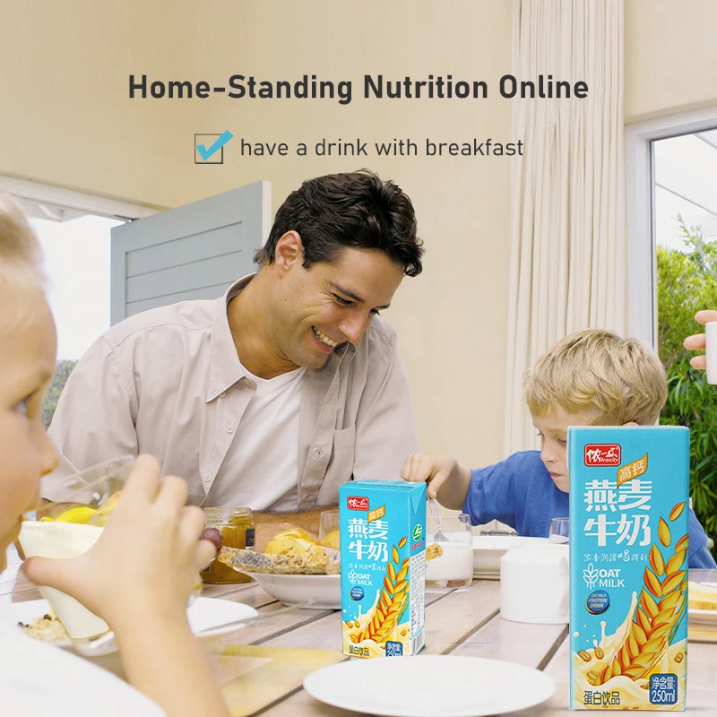 LISHI Premium Tasty Rich Nutrition Daily Drink Middle-aged 72 Per Carton Oat Milk Drink 250ml