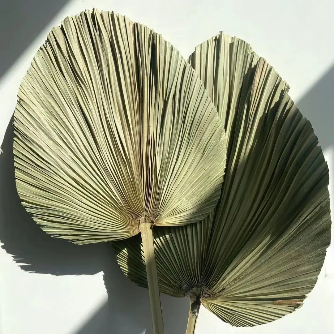 Palm Leaf Decorative Flowers  Natural Dried Palm Leaves for Wedding Home Decor