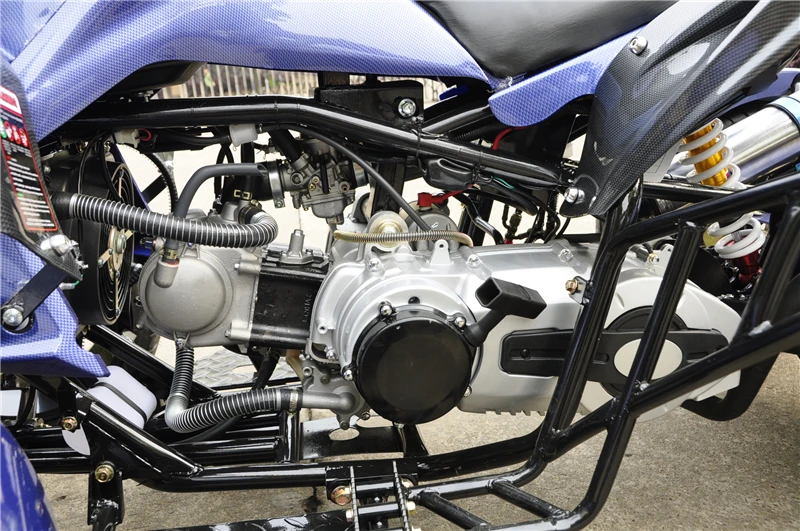 300cc CVT Water Cooled Engine  For 2 Passengers