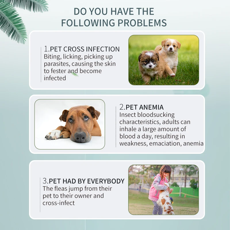 OEM Flea and Tick Collar for dogs No Deet Essential Oils Based 8 Moths Pets Dogs Protection