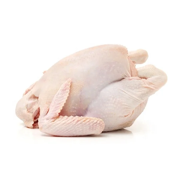 Whole Chicken Frozen Halal Brazil GM Food Wholesale Frozen Chicken Supplier Low Fat Brazil Frozen Whole Chicken Good Price
