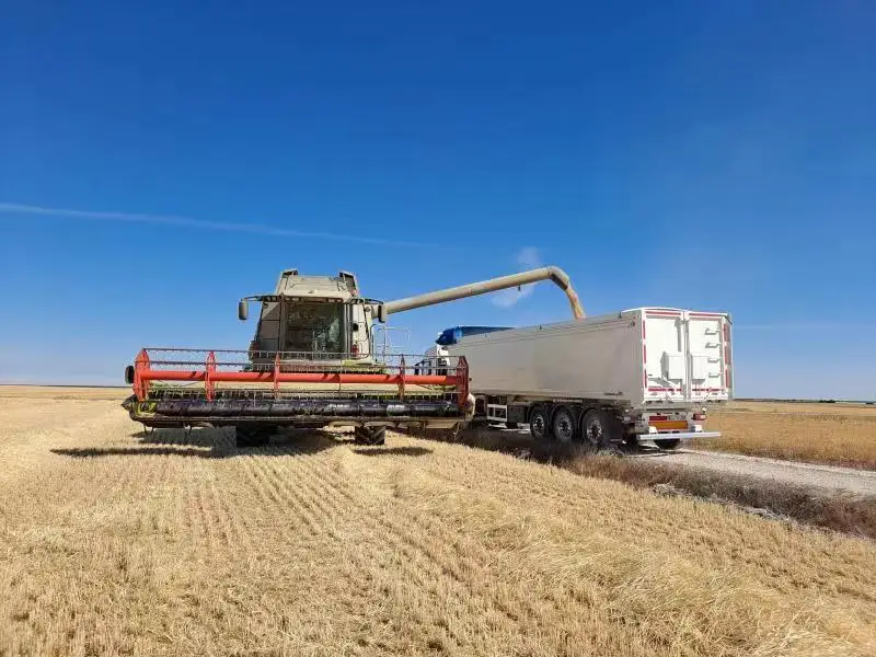 Hydraulic cylinder 4 axles 50tons  Grain Stone Sand Semi trailer  U type Dump Trailers Tipper truck Trailer